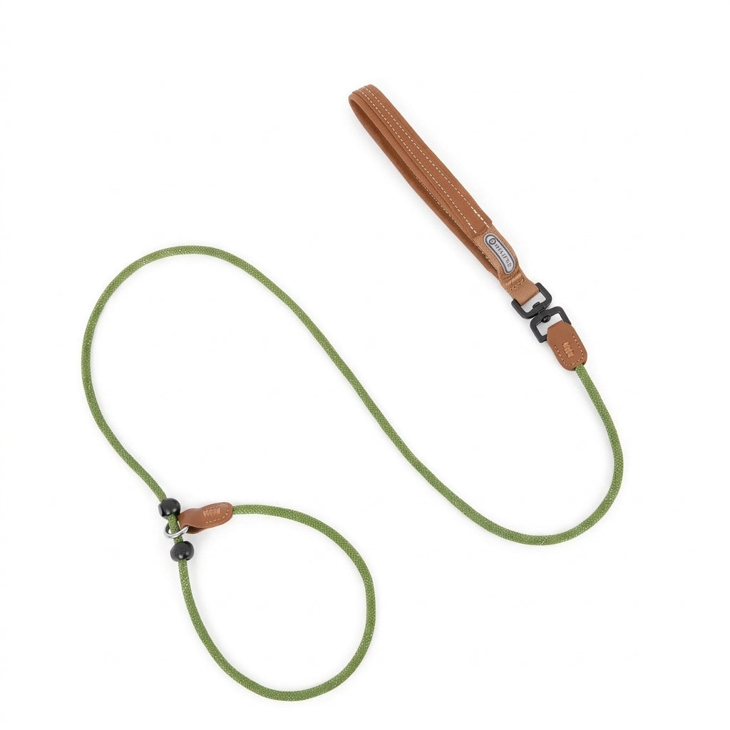 One-Piece P-Style Dog Leash with Leather Handle, Adjustable Slip Lead with Dual Stopper for Walking and Basic Training