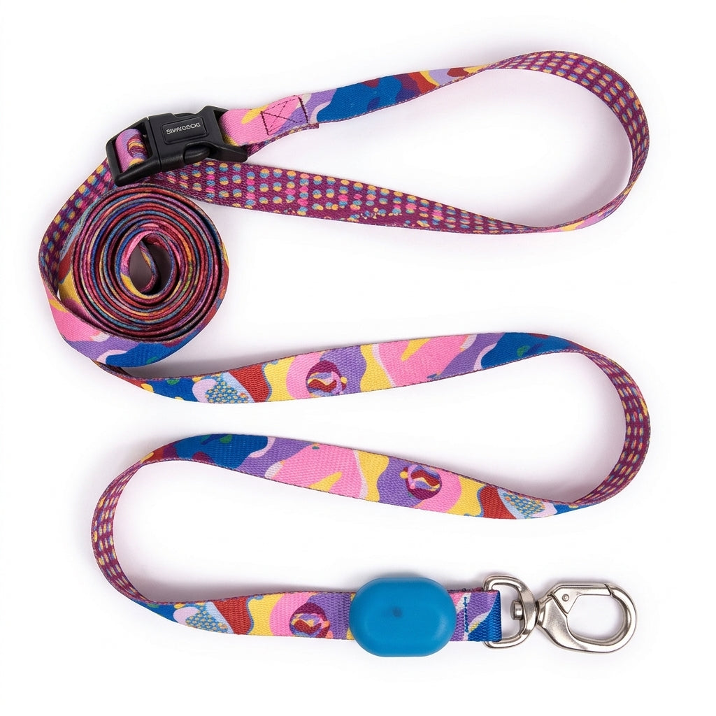 5-Way Multi-Use Dog Leash for Small Dogs, Adjustable Hands-Free Leash for Hand Held, Waist, Crossbody, Short and Long Walking