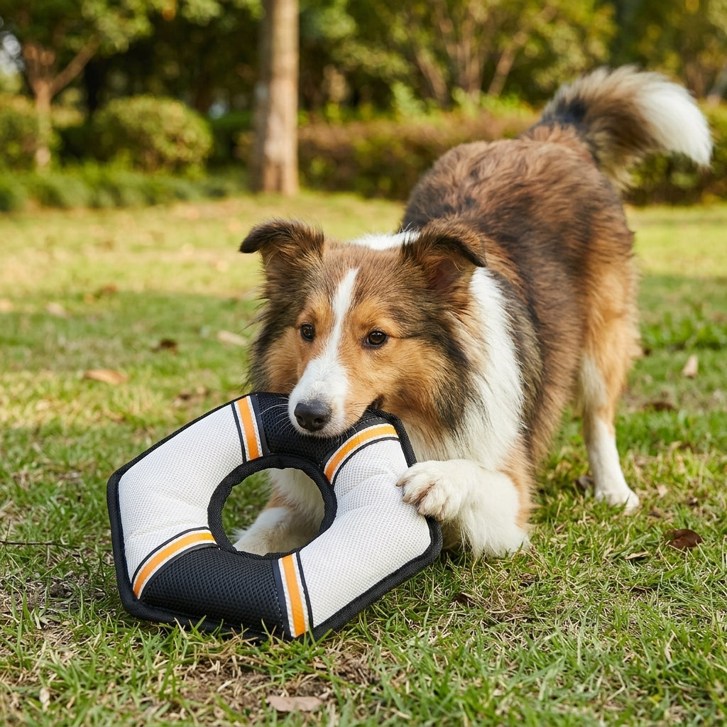 Interactive Squeaky Dog Toy, Ring Shaped Tug and Fetch Toy for Dogs, Soft Pet Toy for Indoor and Outdoor Play