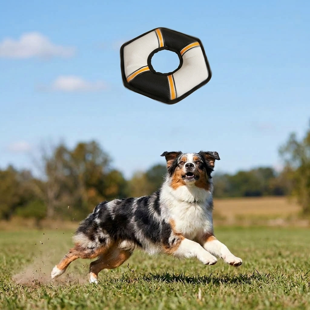 Interactive Squeaky Dog Toy, Ring Shaped Tug and Fetch Toy for Dogs, Soft Pet Toy for Indoor and Outdoor Play