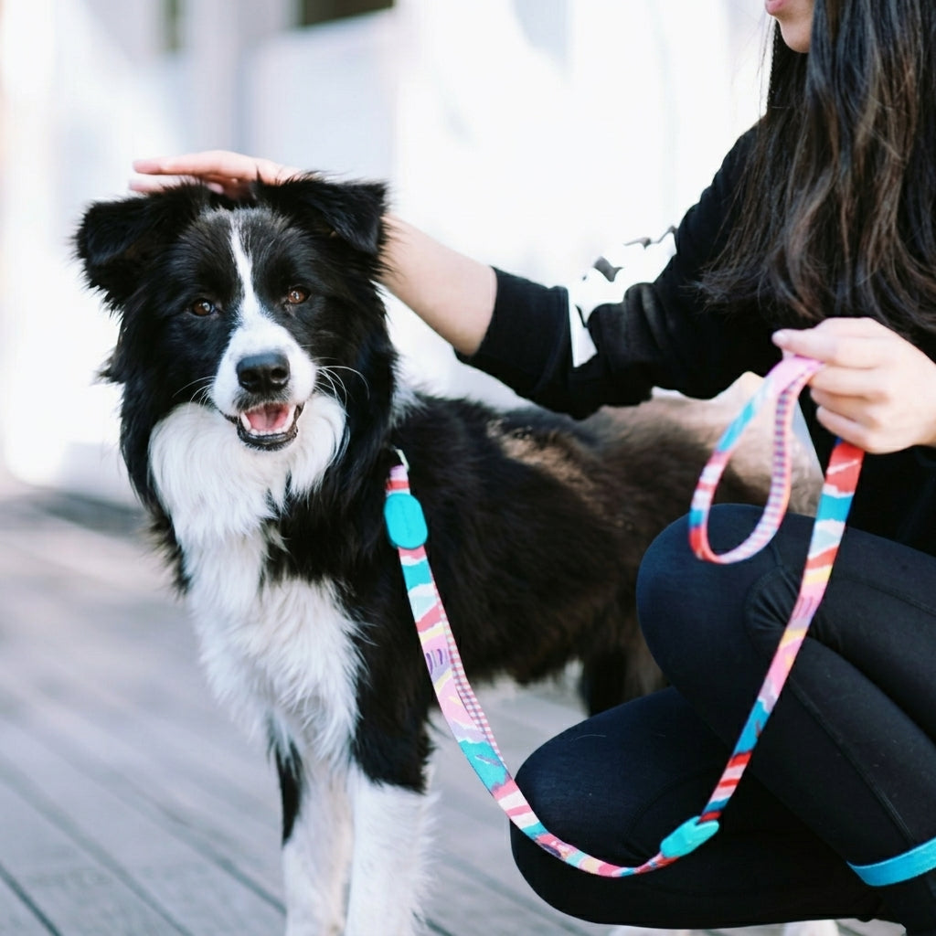 5-Way Multi-Use Dog Leash for Small Dogs, Adjustable Hands-Free Leash for Hand Held, Waist, Crossbody, Short and Long Walking