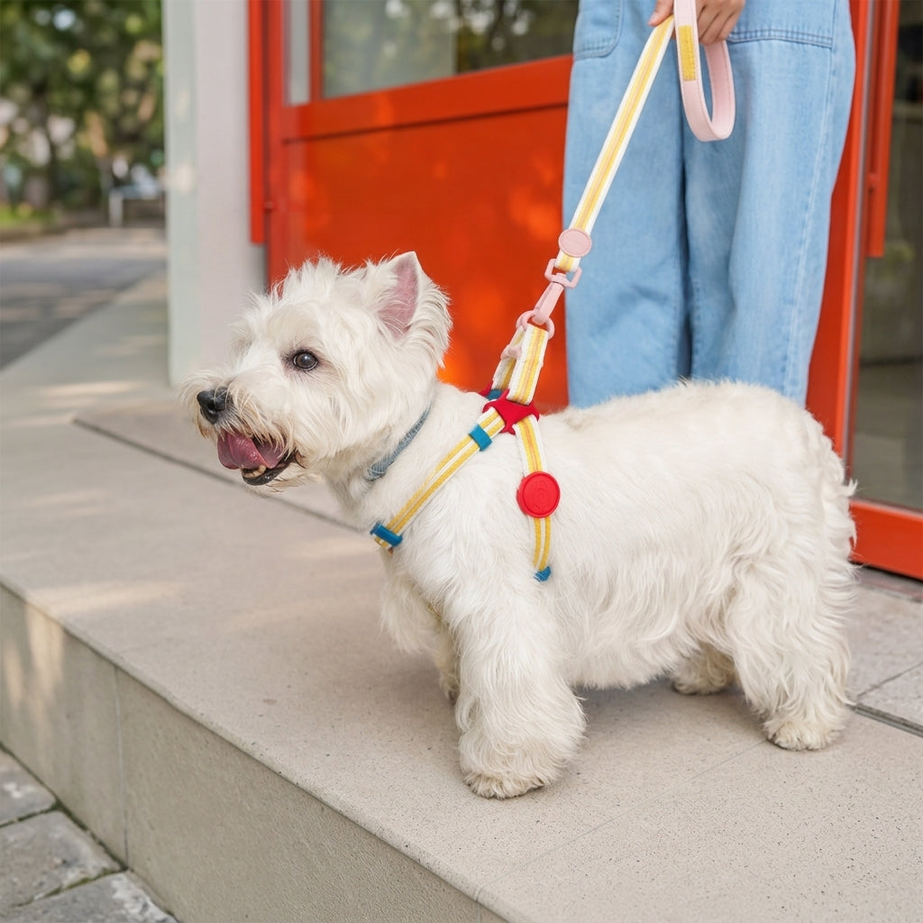 Dog Harness for Small and Medium Dogs, Adjustable Rope Chest Harness, Puppy Walking Harness, L Size