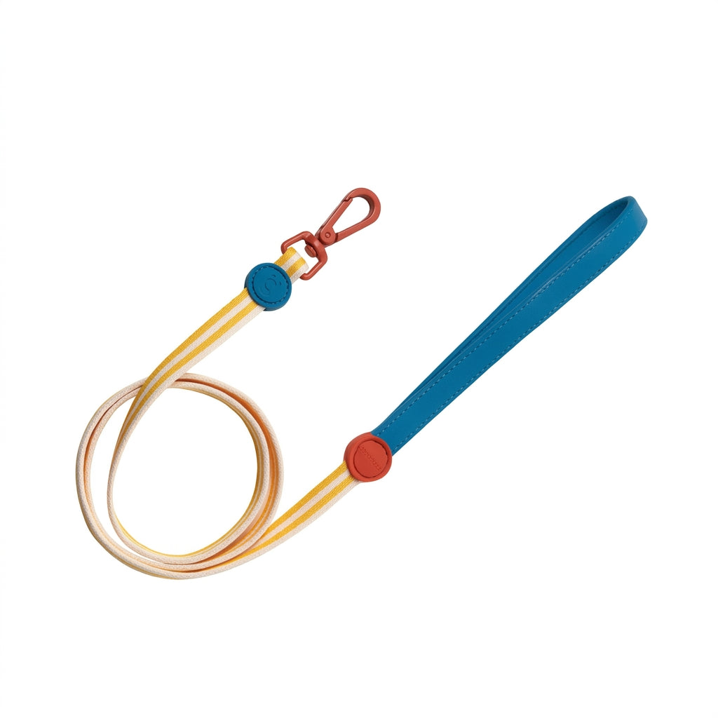 Dog Leash for Small, Medium and Large Dogs, Rope Pet Walking Lead for Daily Walks and Outdoor Activities, M Size
