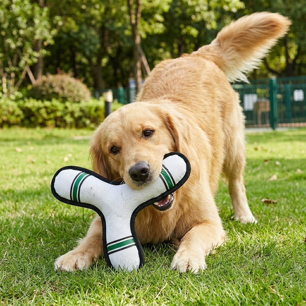 Interactive Squeaky Dog Toy, Dart Shaped Tug and Fetch Toy for Dogs, Soft Pet Toy for Indoor and Outdoor Play