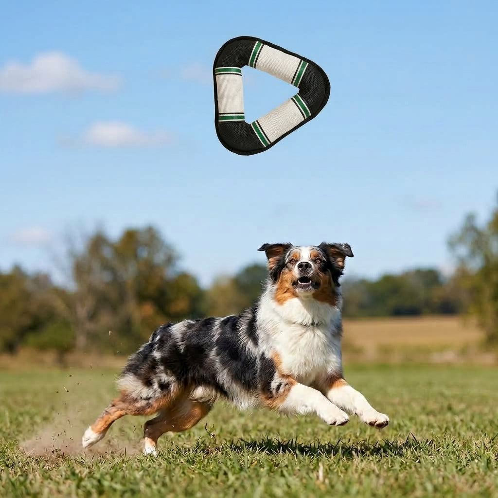Interactive Squeaky Dog Toy, Triangular Loop Tug and Fetch Toy for Dogs, Soft Pet Toy for Indoor and Outdoor Play